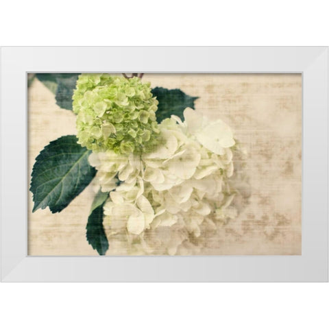 Hydrangeas I White Modern Wood Framed Art Print by Bryant, Susan