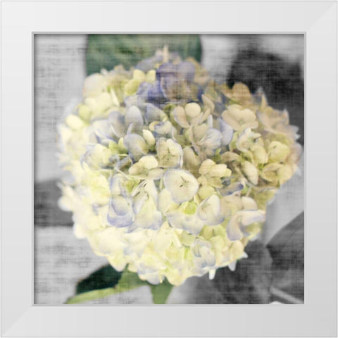 White Hydrangeas II White Modern Wood Framed Art Print by Bryant, Susan