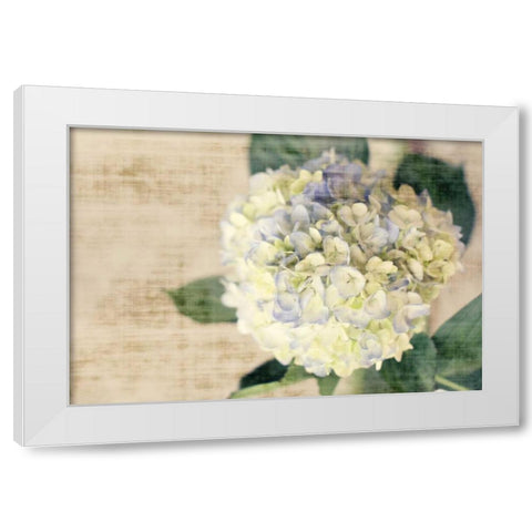 Hydrangeas II White Modern Wood Framed Art Print by Bryant, Susan