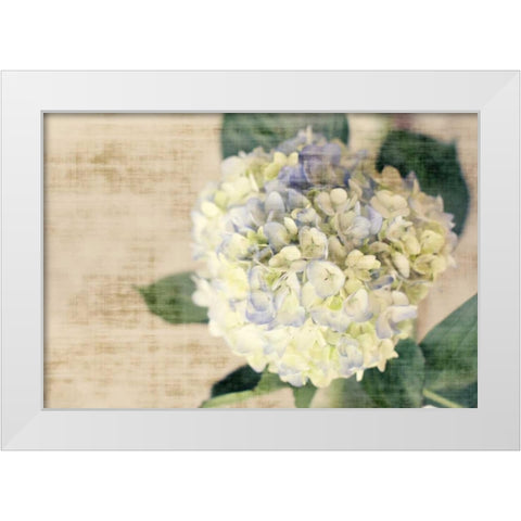 Hydrangeas II White Modern Wood Framed Art Print by Bryant, Susan