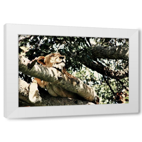 Lion Tree White Modern Wood Framed Art Print by Bryant, Susan