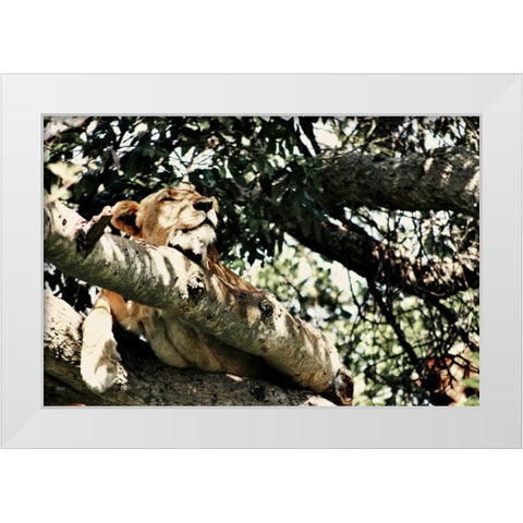 Lion Tree White Modern Wood Framed Art Print by Bryant, Susan