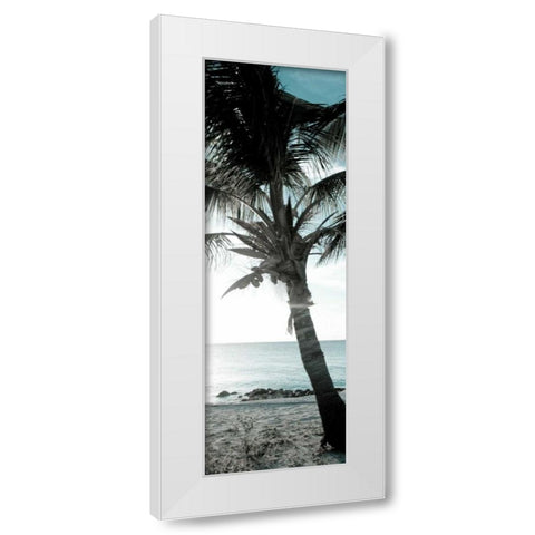 Cool Bimini Palm I White Modern Wood Framed Art Print by Bryant, Susan