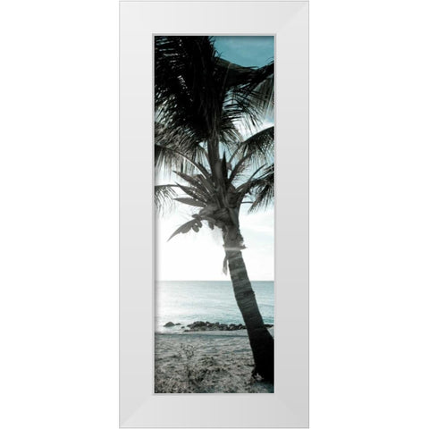 Cool Bimini Palm I White Modern Wood Framed Art Print by Bryant, Susan