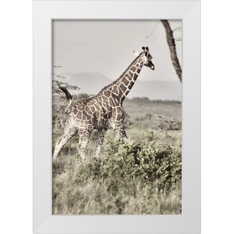 Sepia Giraffe White Modern Wood Framed Art Print by Bryant, Susan