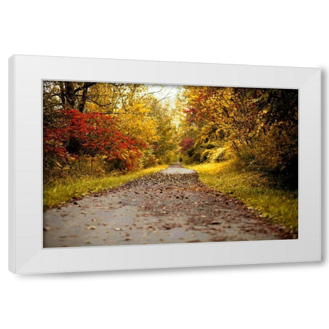 Quiet Autumn Path White Modern Wood Framed Art Print by Poynter, Kelly