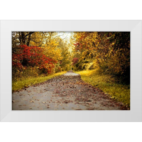 Quiet Autumn Path White Modern Wood Framed Art Print by Poynter, Kelly