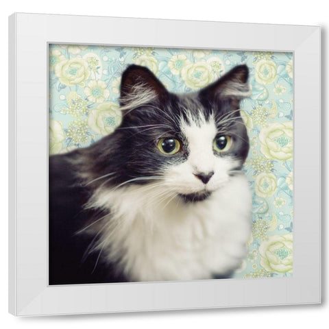 Cat on Paisley White Modern Wood Framed Art Print by Metz, Andi