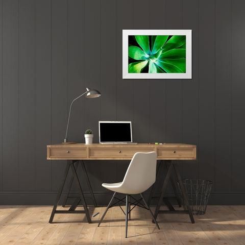 Green Intrigue White Modern Wood Framed Art Print by Nawrocke, Bruce
