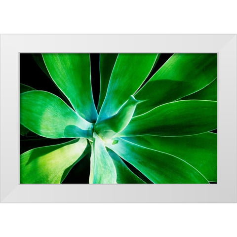 Green Intrigue White Modern Wood Framed Art Print by Nawrocke, Bruce