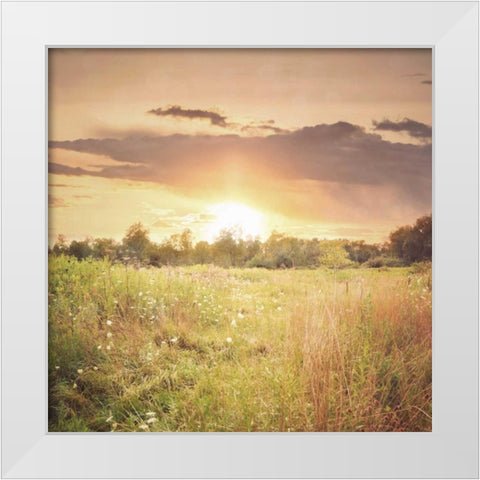 Field of Warmth Square White Modern Wood Framed Art Print by Poynter, Kelly