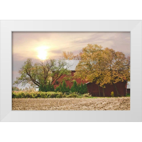 My Red Barn White Modern Wood Framed Art Print by Poynter, Kelly