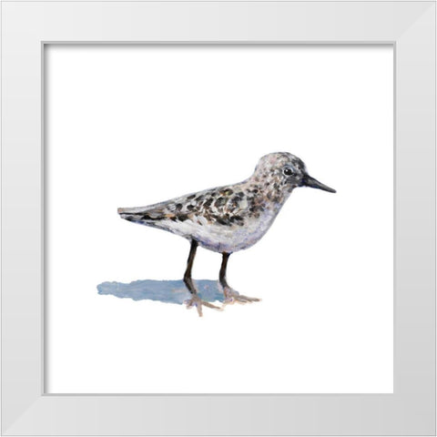 Sandpiper on White I White Modern Wood Framed Art Print by Johnson, Walt