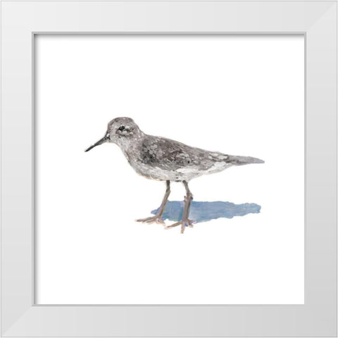 Sandpiper on White II White Modern Wood Framed Art Print by Johnson, Walt