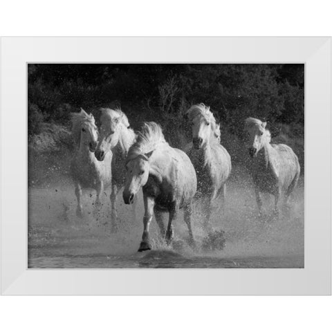 White Running Horses Border White Modern Wood Framed Art Print by Walker, Carol