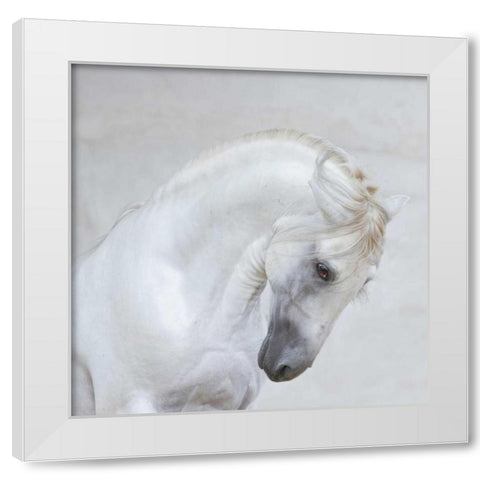 Graceful Pose White Modern Wood Framed Art Print by Walker, Carol