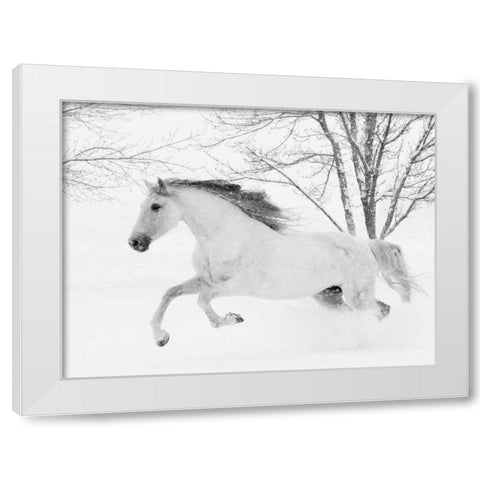 Running in the Snow White Modern Wood Framed Art Print by Walker, Carol