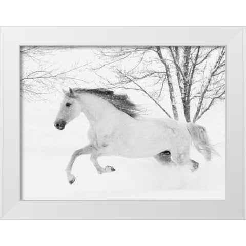 Running in the Snow White Modern Wood Framed Art Print by Walker, Carol