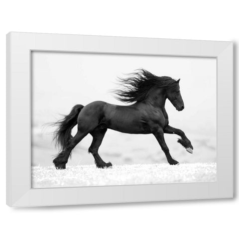 Black Horse White Modern Wood Framed Art Print by Walker, Carol