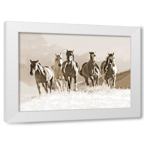 Mountain Run White Modern Wood Framed Art Print by Walker, Carol
