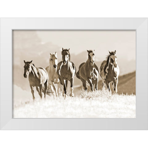 Mountain Run White Modern Wood Framed Art Print by Walker, Carol