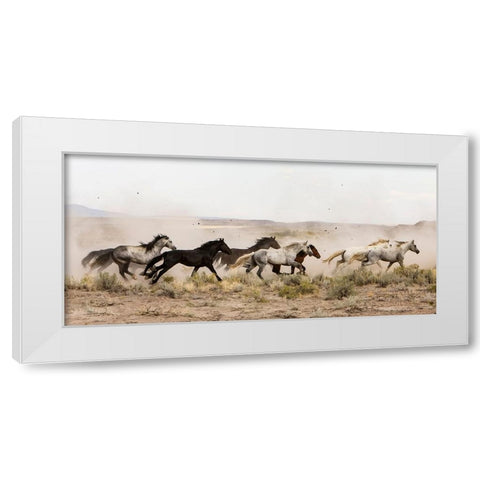 Horses On The Run White Modern Wood Framed Art Print by Walker, Carol