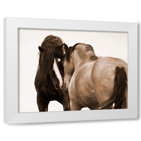 Horses Courting White Modern Wood Framed Art Print by Walker, Carol