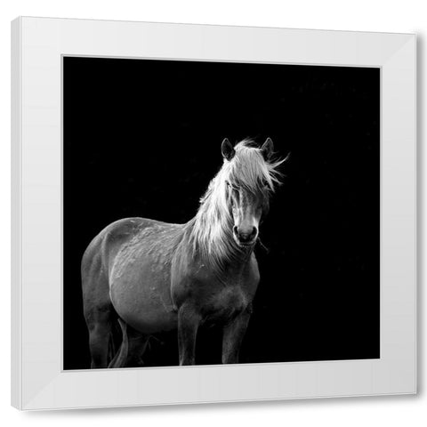 The Mare White Modern Wood Framed Art Print by Walker, Carol