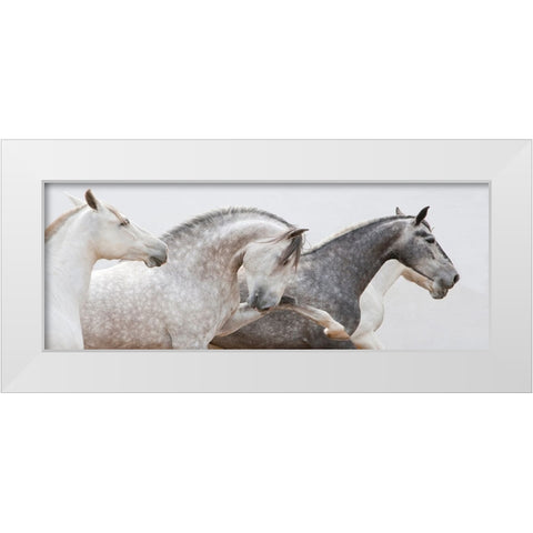 Pointing The Way White Modern Wood Framed Art Print by Walker, Carol