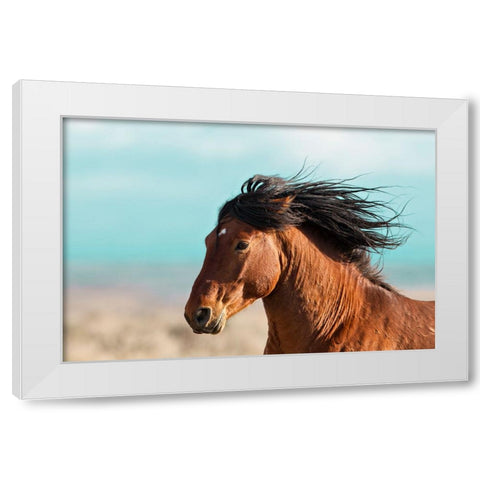 Running Horse White Modern Wood Framed Art Print by Walker, Carol
