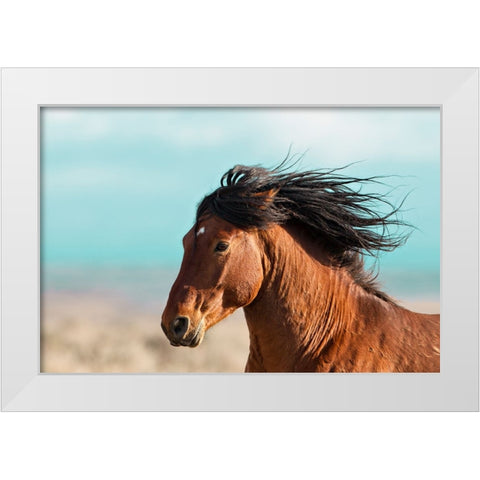 Running Horse White Modern Wood Framed Art Print by Walker, Carol