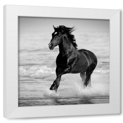 Bay in the Water White Modern Wood Framed Art Print by Walker, Carol