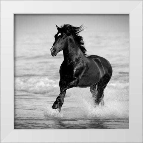 Bay in the Water White Modern Wood Framed Art Print by Walker, Carol