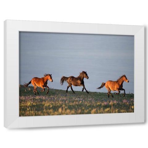 Chase of Life White Modern Wood Framed Art Print by Walker, Carol