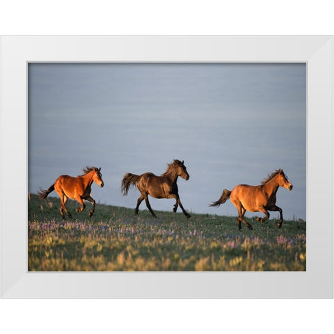 Chase of Life White Modern Wood Framed Art Print by Walker, Carol