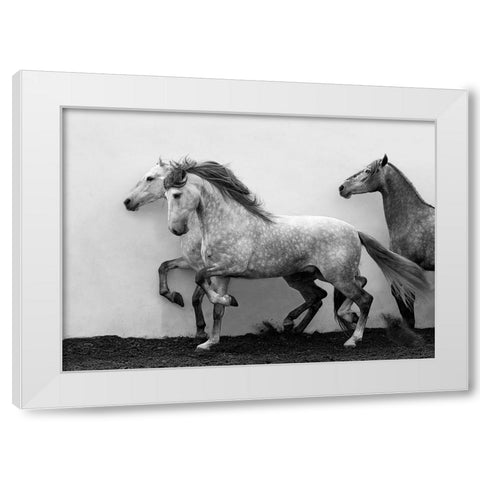 Lining Up White Modern Wood Framed Art Print by Walker, Carol