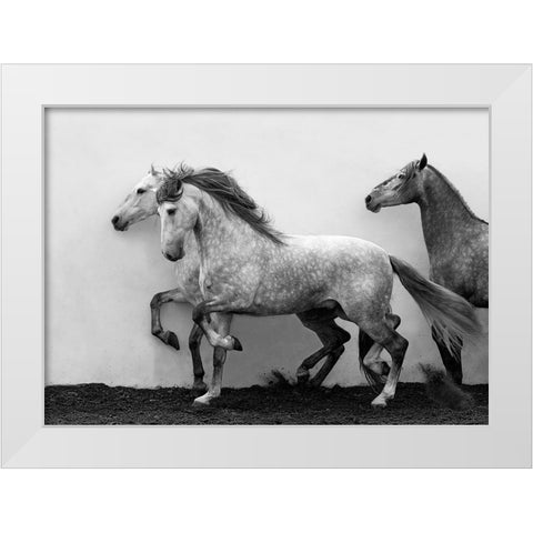 Lining Up White Modern Wood Framed Art Print by Walker, Carol