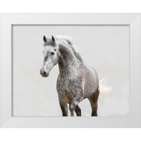 Trotting Along White Modern Wood Framed Art Print by Walker, Carol