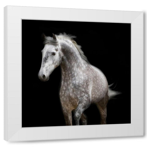 Spotted Horse White Modern Wood Framed Art Print by Walker, Carol