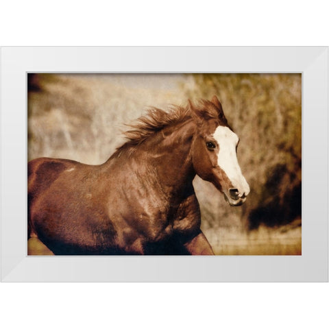 Running Horse White Modern Wood Framed Art Print by Walker, Carol