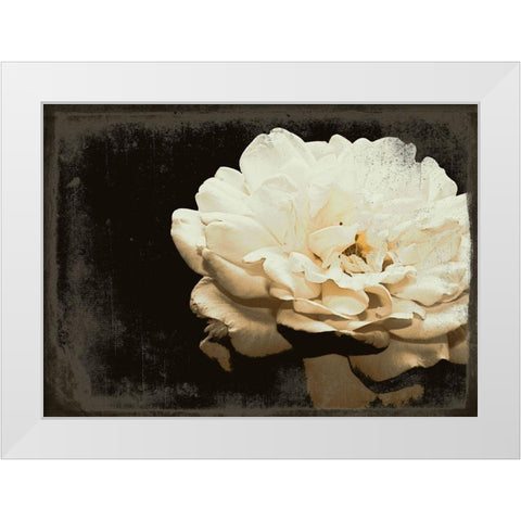 Blooming Elegance White Modern Wood Framed Art Print by Navas, Emily