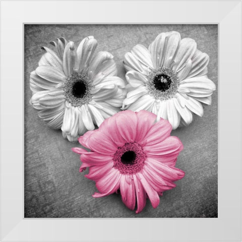 Tropical Floral Bunch Border I White Modern Wood Framed Art Print by Peck, Gail