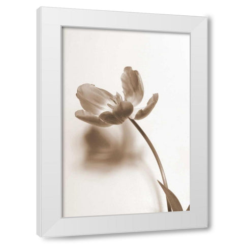 Delicate Floral I White Modern Wood Framed Art Print by Peck, Gail