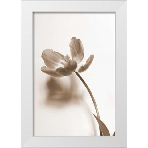 Delicate Floral I White Modern Wood Framed Art Print by Peck, Gail