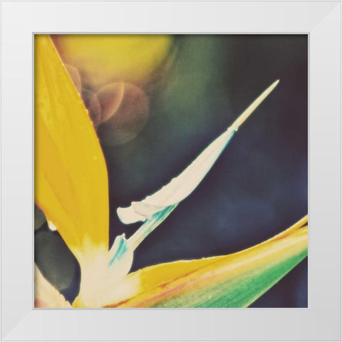 Tropical Floral I White Modern Wood Framed Art Print by Peck, Gail