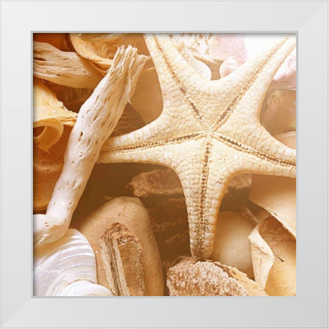 By the Seashore Square I White Modern Wood Framed Art Print by Bryant, Susan