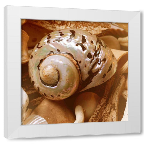 By the Seashore Square II White Modern Wood Framed Art Print by Bryant, Susan