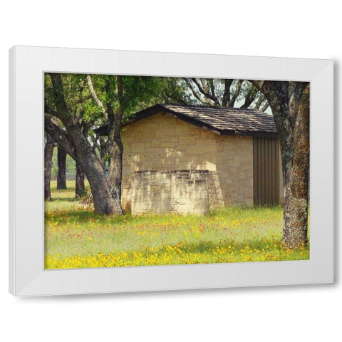 Country Meadow I White Modern Wood Framed Art Print by Peck, Gail