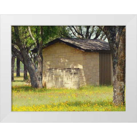 Country Meadow I White Modern Wood Framed Art Print by Peck, Gail