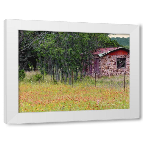 Country Meadow II White Modern Wood Framed Art Print by Peck, Gail